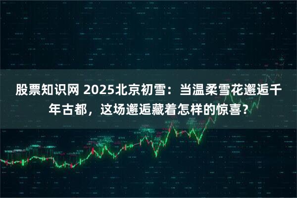股票知识网 2025北京初雪：当温柔雪花邂逅千年古都，这场邂逅藏着怎样的惊喜？